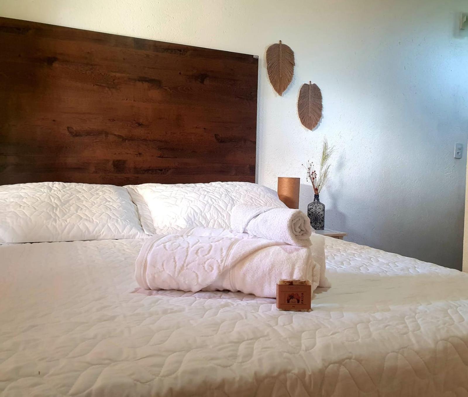 Bed and Breakfast Sítio Juara Santa Teresa  Pokoj fotografie